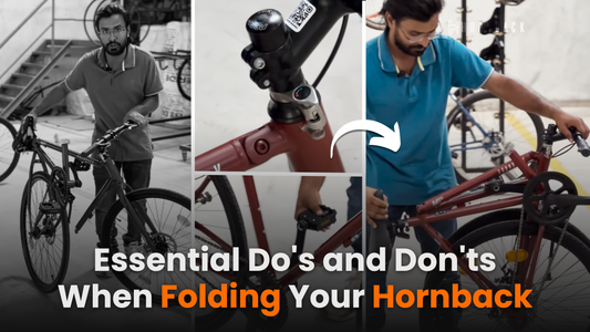 Essential Do's and Don'ts When Folding Your Hornback