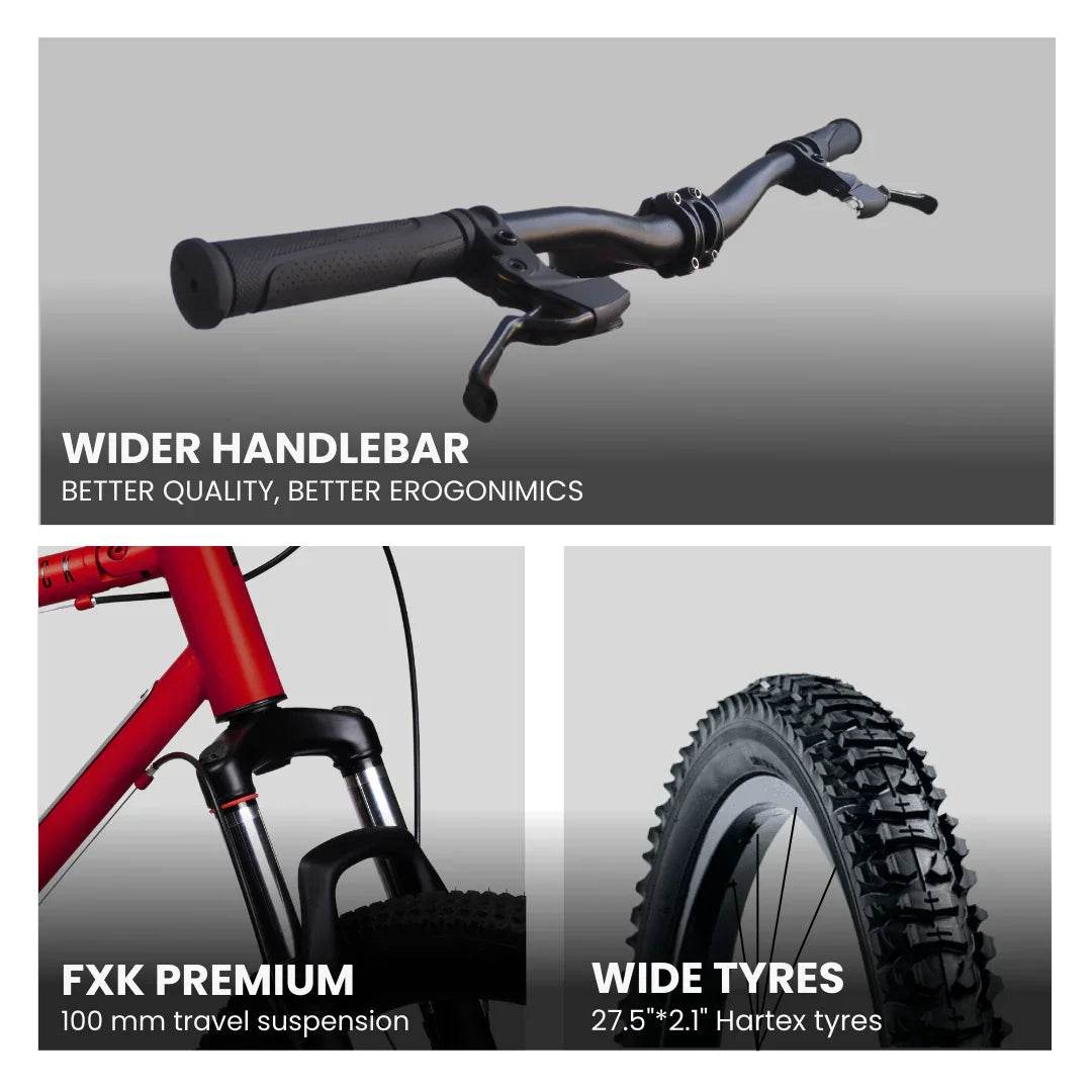 Hornback Jax - Hornback