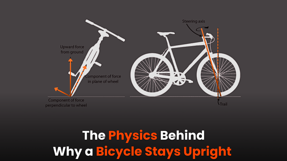 The Physics Behind Why a Bicycle Stays Upright