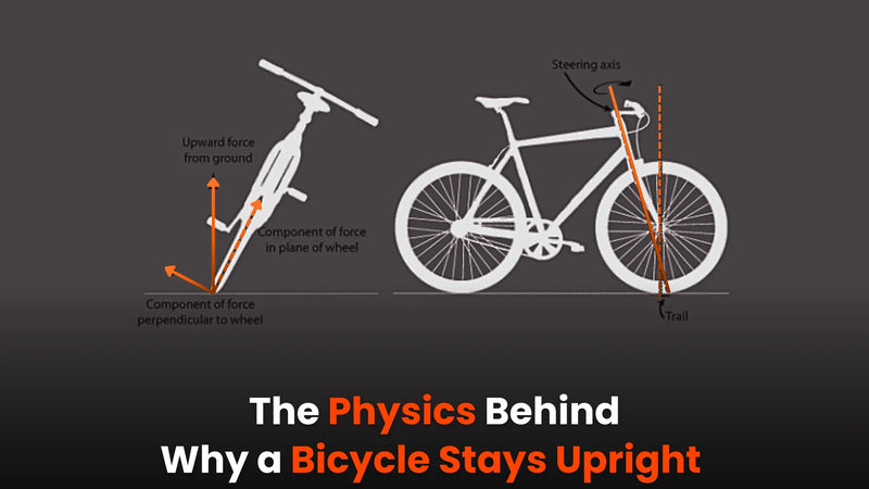 The Physics Behind Why a Bicycle Stays Upright