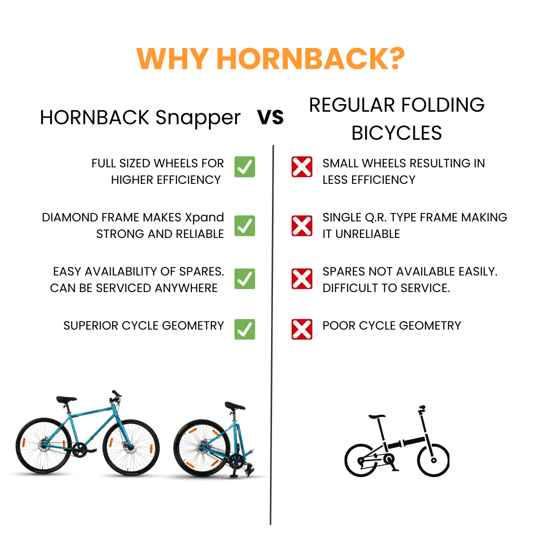 Hornback Sanpper