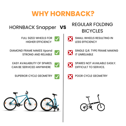 Hornback Sanpper