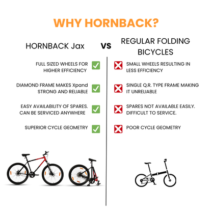 Hornback Jax