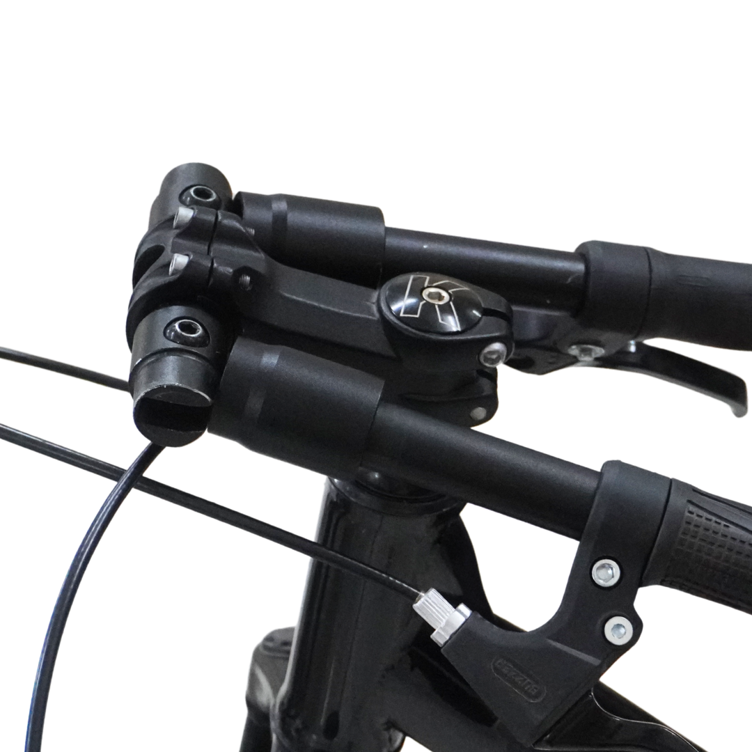 Hornback PivotLiteEnhance your bike's portability with Hornback's Pivot Pro, makes your bike so sleek that it can fit smallest of spaces