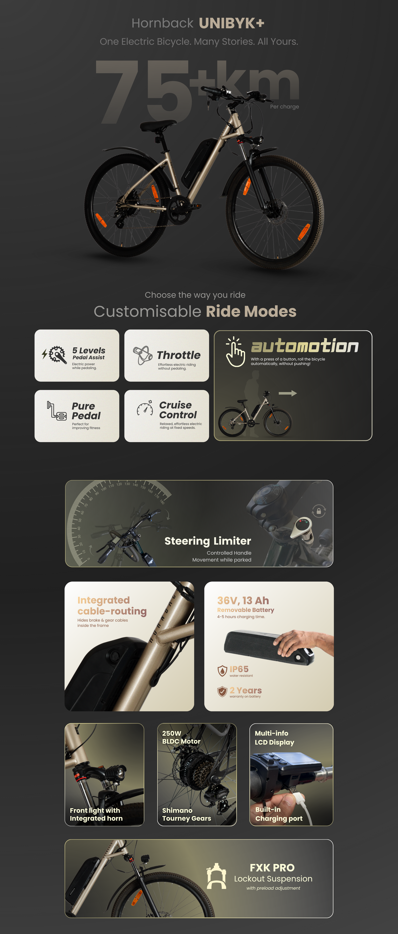 UNIBYK PLUS ELECTRIC CYCLE