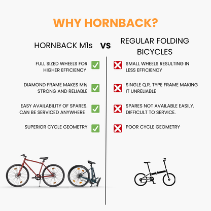 Hornback M1s