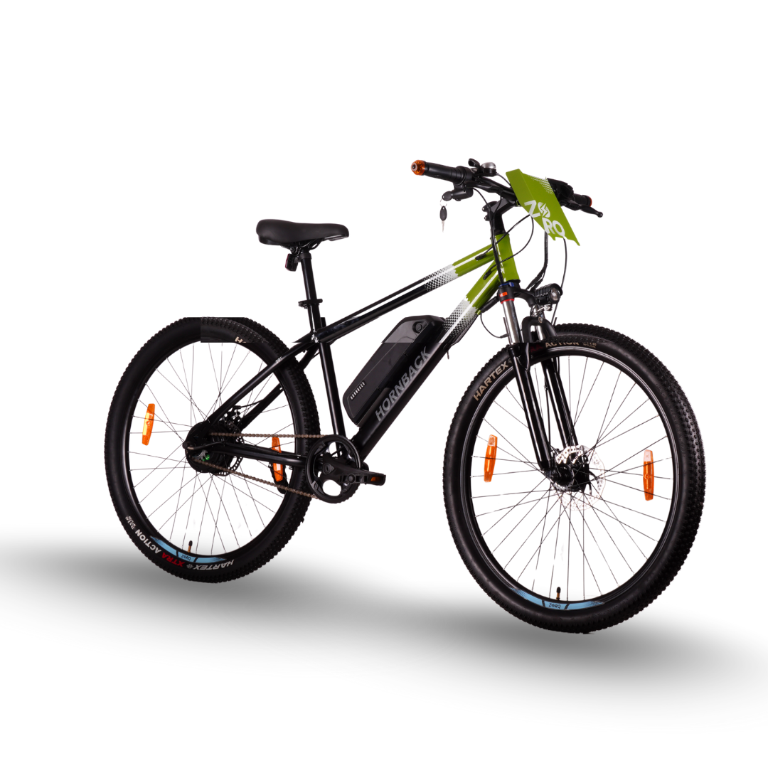 Hornback Zorq EV